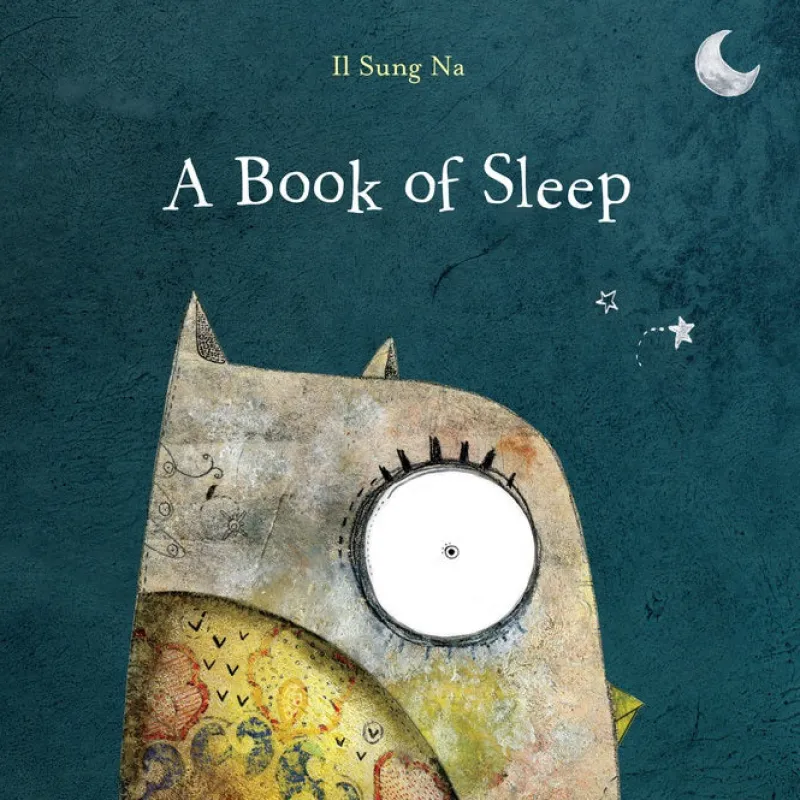 A Book of Sleep Books
