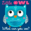 Best Little Owl What Can You See? Board Book Books