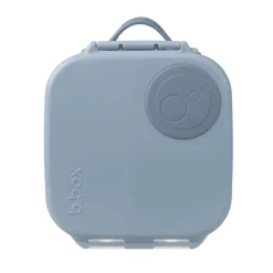 Online Mini Lunchbox On-The-Go Feeding