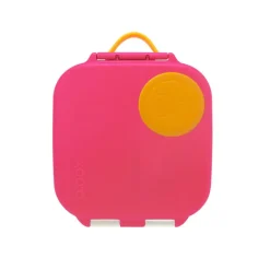 Online Mini Lunchbox On-The-Go Feeding