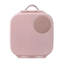 Online Mini Lunchbox On-The-Go Feeding