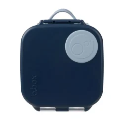 Online Mini Lunchbox On-The-Go Feeding