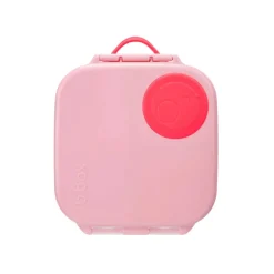 Online Mini Lunchbox On-The-Go Feeding