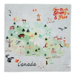 Best Muslin Swaddle Swaddles