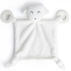 Sale Teether Buddy Sensory Toys